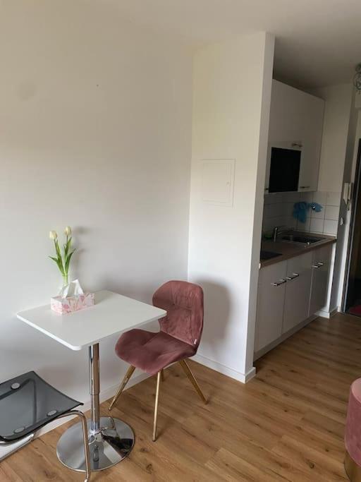 Schoene, Kleine, Gemuetliche Wohnung - Stadtmitte Mainz Ngoại thất bức ảnh